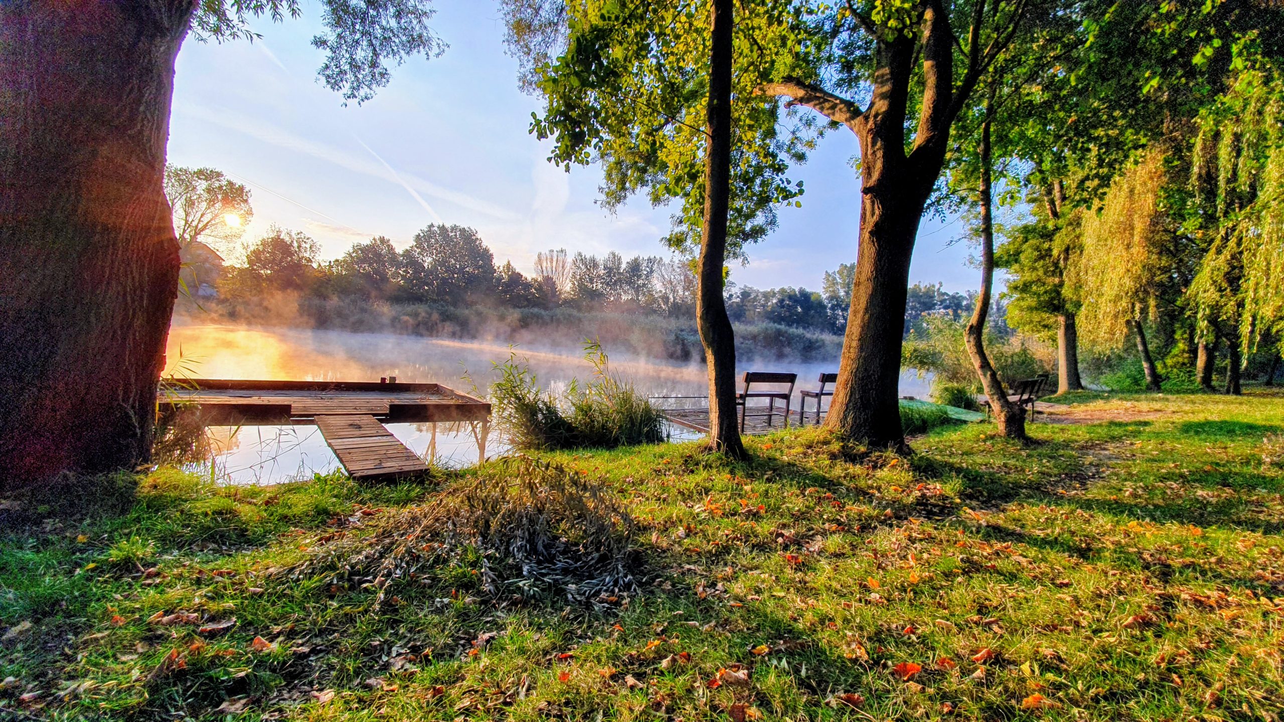 Szolgáltatások